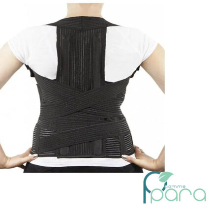 pcommepara-ORTHOPOINT-Dorsolombaire.
