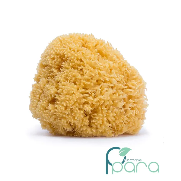 pcommepara SUAVINEX Éponge de Bain Naturelle de Mer – Éponge Douce et Absorbante pour Bébé, Dès 0 Mois pcommepara-SUAVINEX-Eponge-de-Bain-Naturelle-de-Mer-–-Eponge-Douce-et-Absorbante-pour-Bebe-Des-0-Mois.